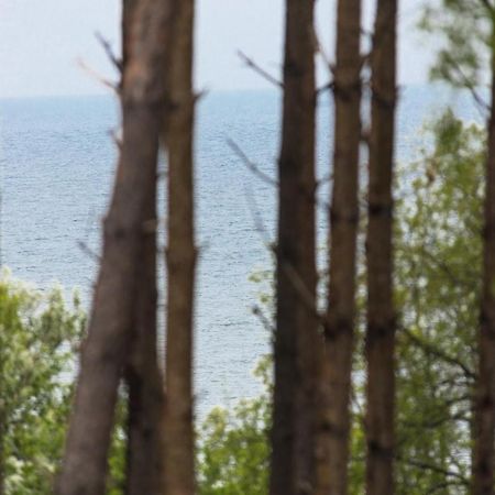 Palicki - Apartamenty Z Widokiem Na Morze Реваль Екстер'єр фото